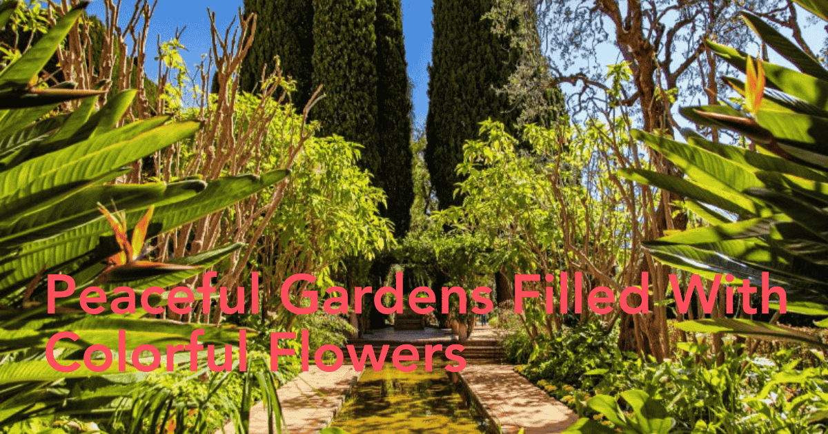 Spanish Garden Header Image