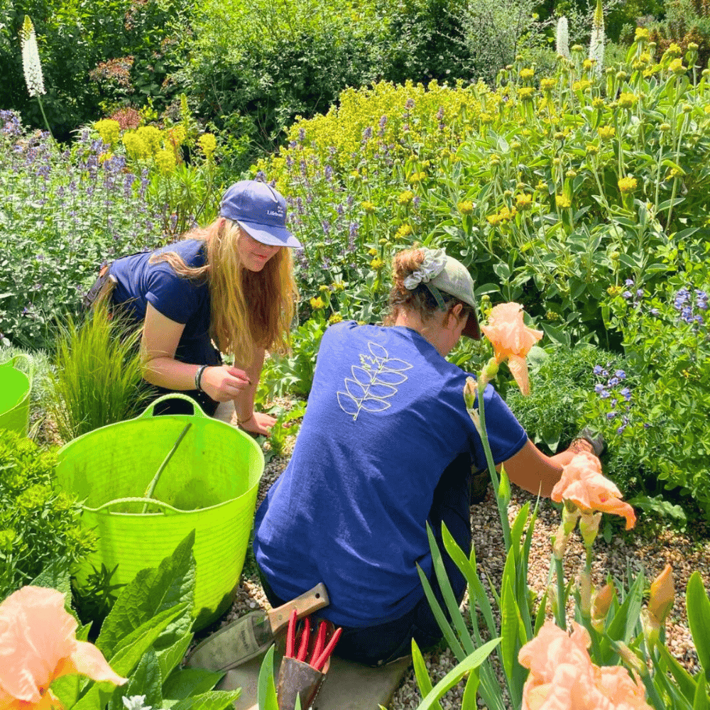 Gardening as a community