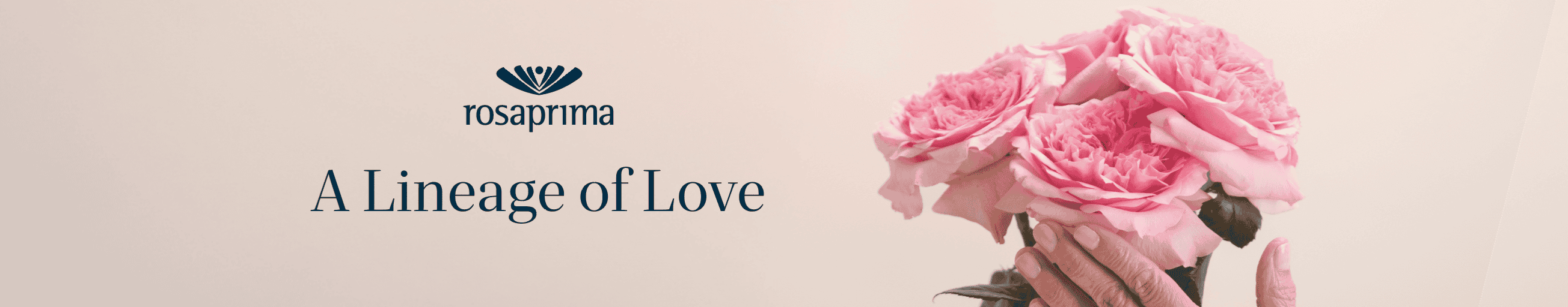 Banner Mother's Day Rosaprima