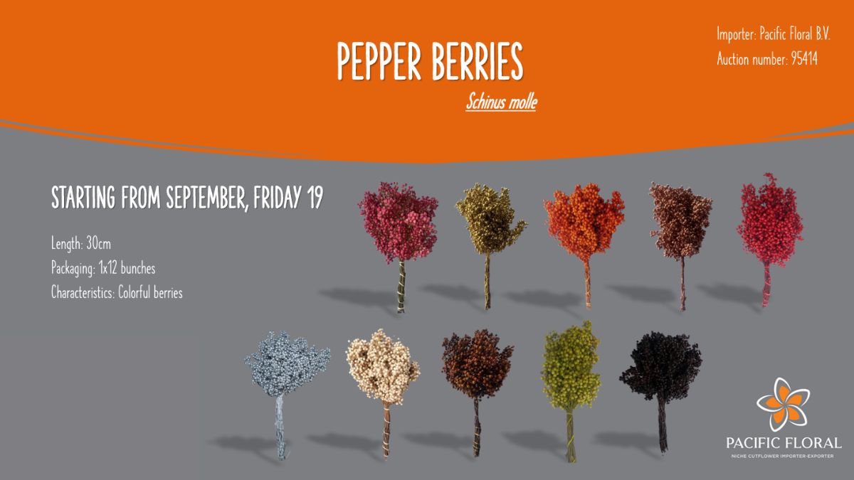Pepper Berries by Pacific Floral