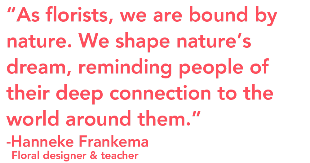 Hanneke Frankema growth quote