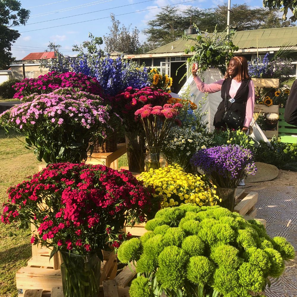 Ball SB varieties 2025 Naivasha Horticultural Fair: A Weekend for Networking and Supporting a Charitable Cause