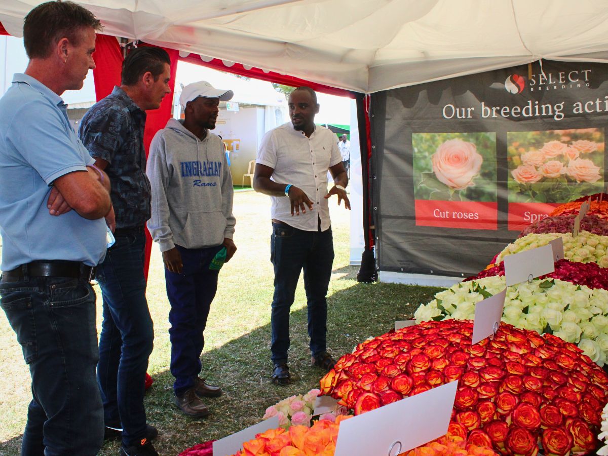 Select Breeding 2025 Naivasha Horticultural Fair - Networking and Supporting a Charitable Cause