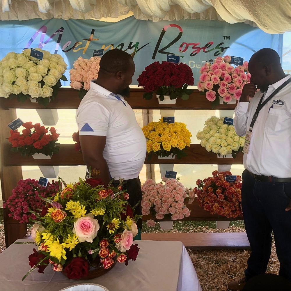 Roses from breeder De Ruiter 2025 Naivasha Horticultural Fair: A Weekend for Networking and Supporting a Charitable Cause - Thursd Article