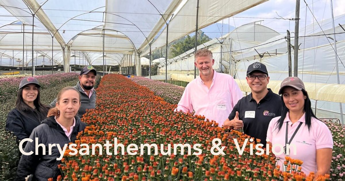 10 Questions to Jan Haaksman