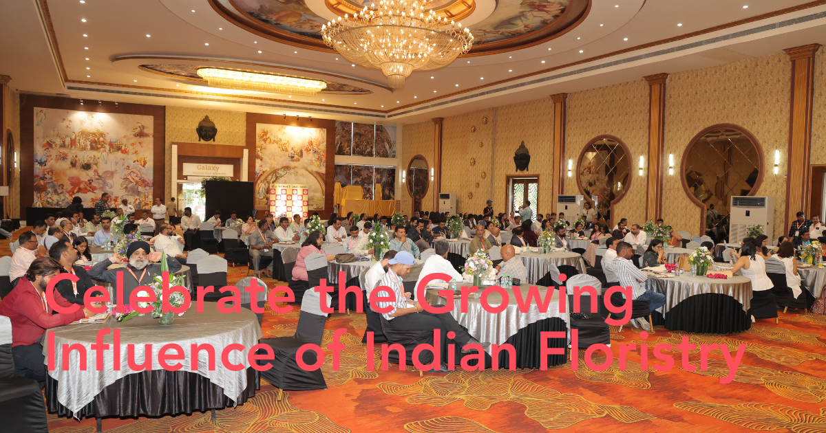 IFA Meet 7 header image