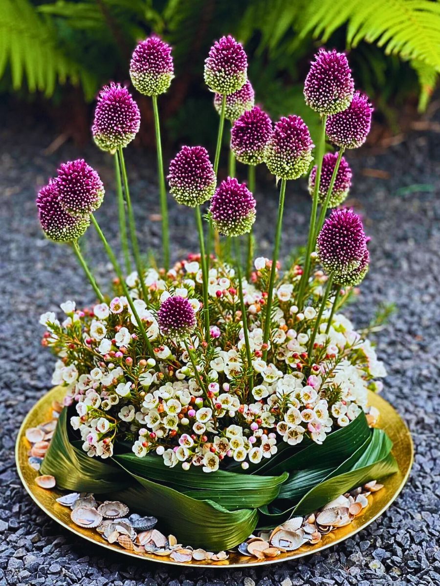 Helix Australia's Waxflowers, grown by Flora United, for the savvy designer who wants to break free from the norm.