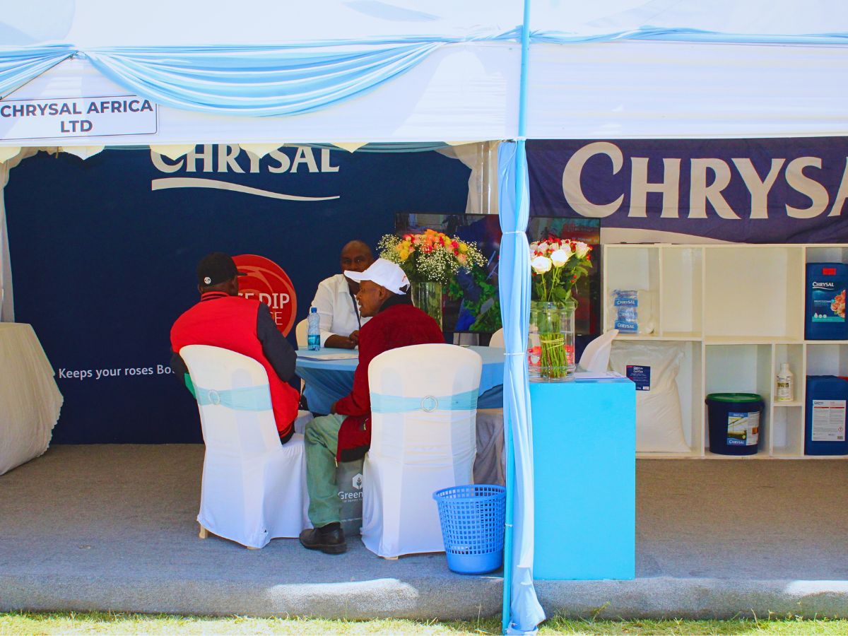 Chrysal Africa at the Naivasha Hortifair 2025 Naivasha Horticultural Fair: A Weekend for Networking and Supporting a Charitable Cause - Thursd Article