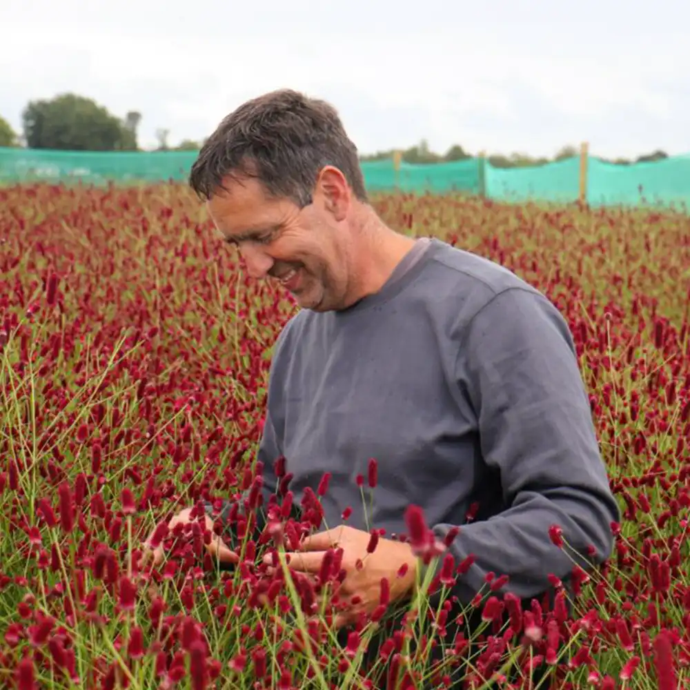 BD Flowers grower on Thursd feature