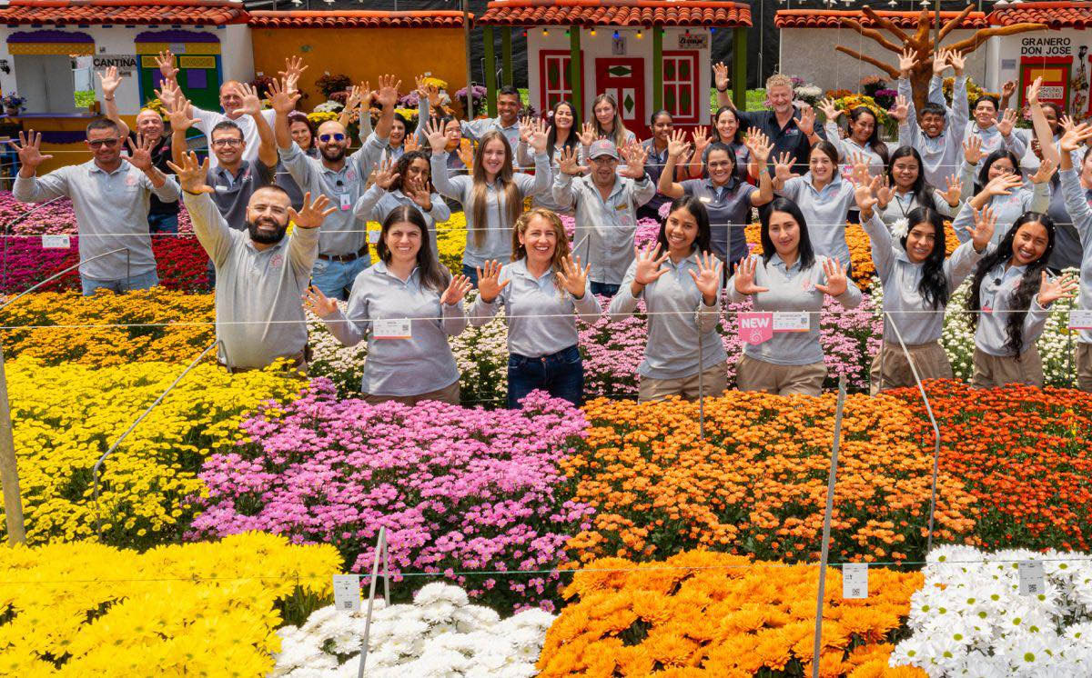 Icon Selections team in greenhouse Colombia Icon Selections team in greenhouse Colombia