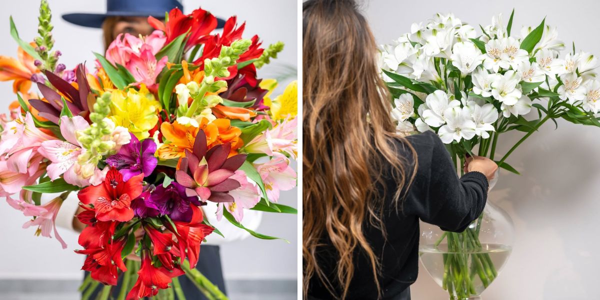 Lottas Floral Studio with alstroemeria flowers