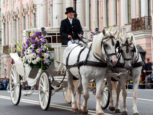 The Star of the St. Petersburg Flower Festival