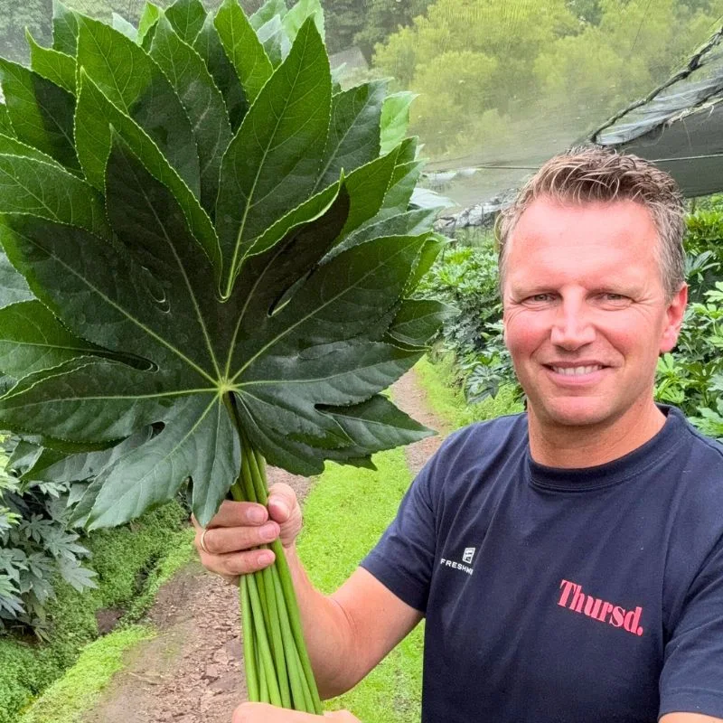 Peter with Aralia leaves