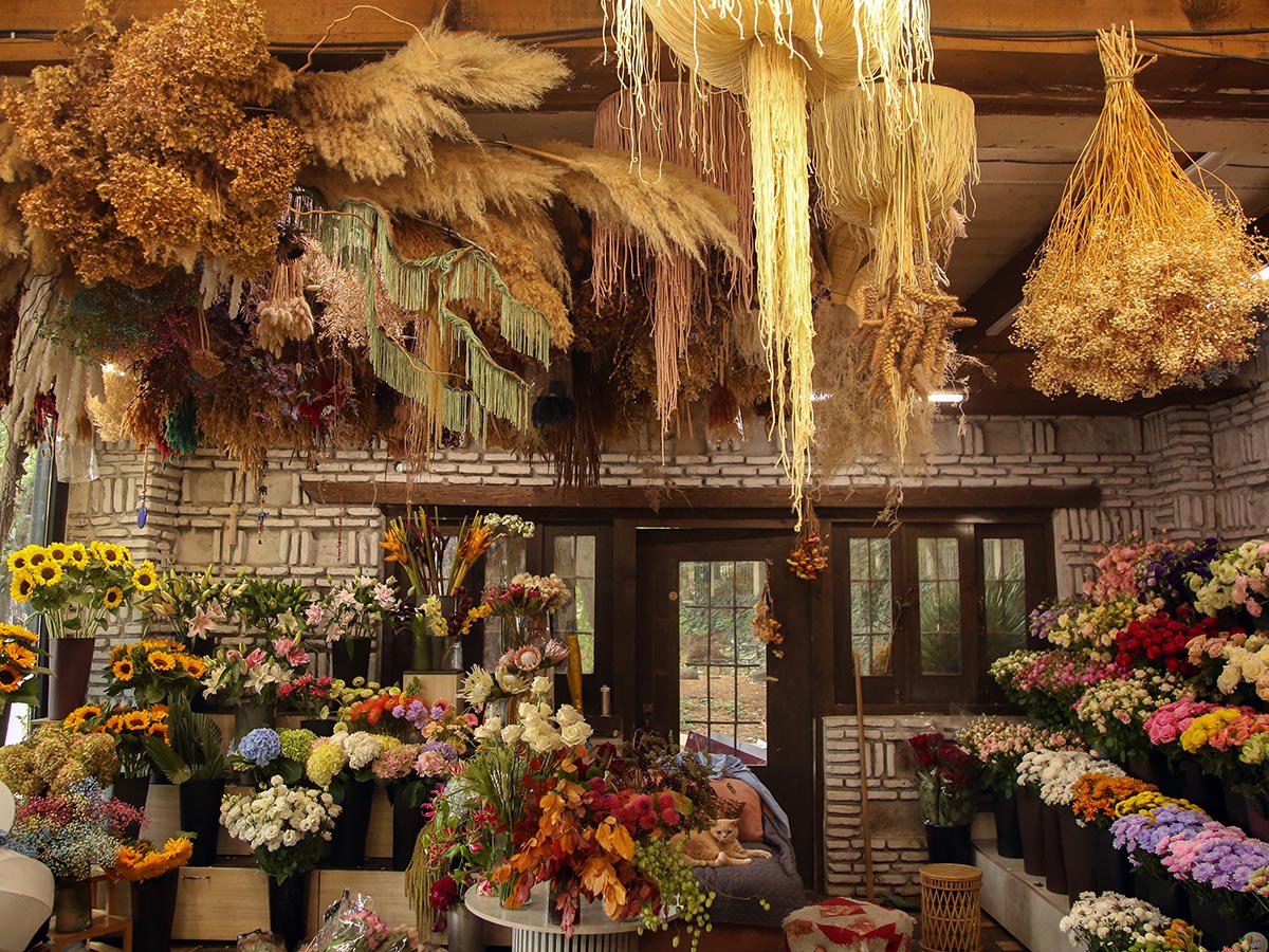 Floristi Georgia dried flowers shop