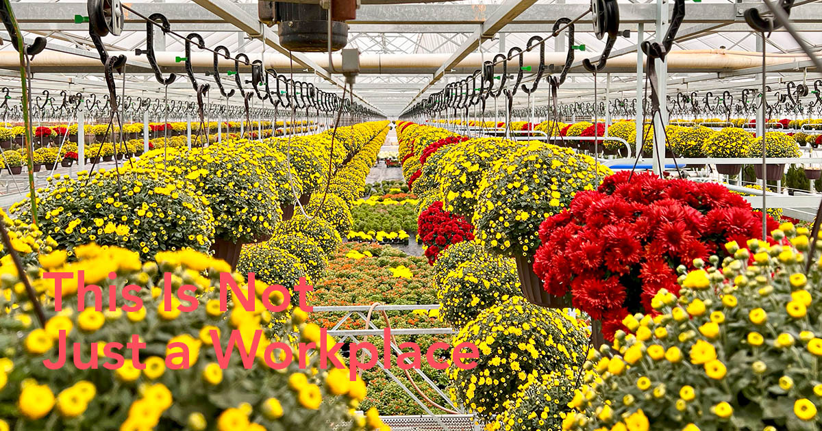 Peter Ault Labor Smart Growing