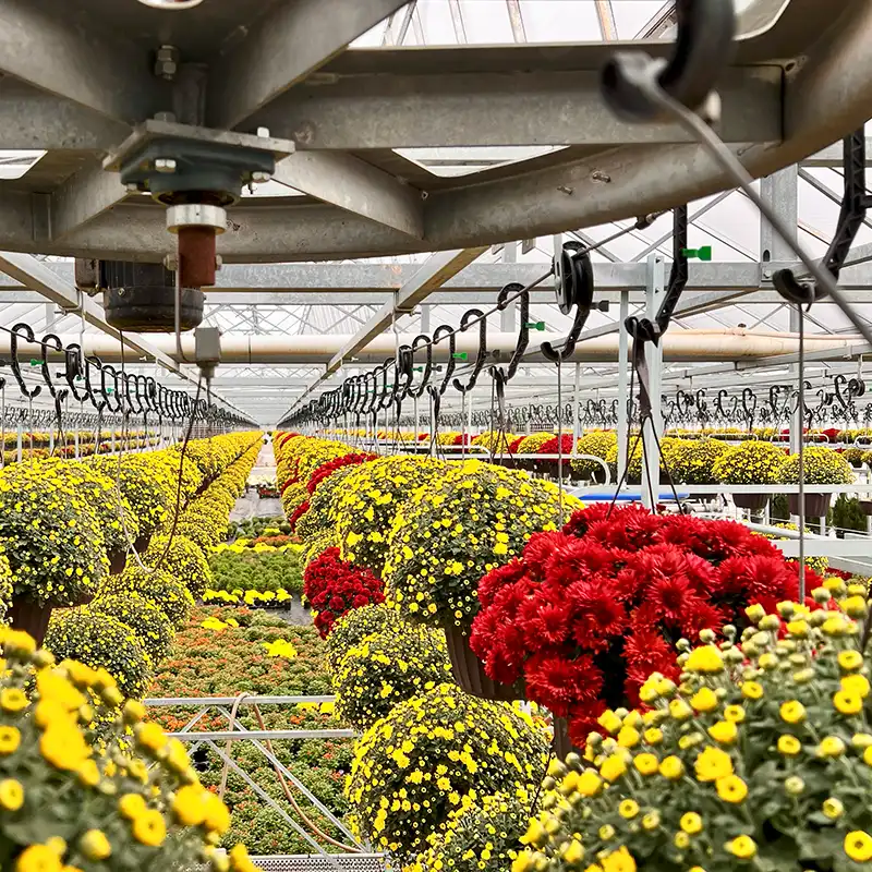 Peter Ault Labor Smart Growing