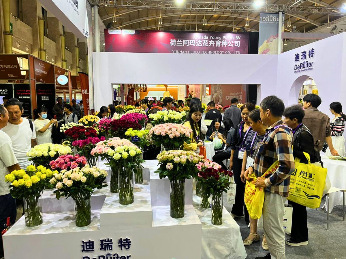 Roses at Yuxi De Ruiter Booth at Kunming International Flower Expo