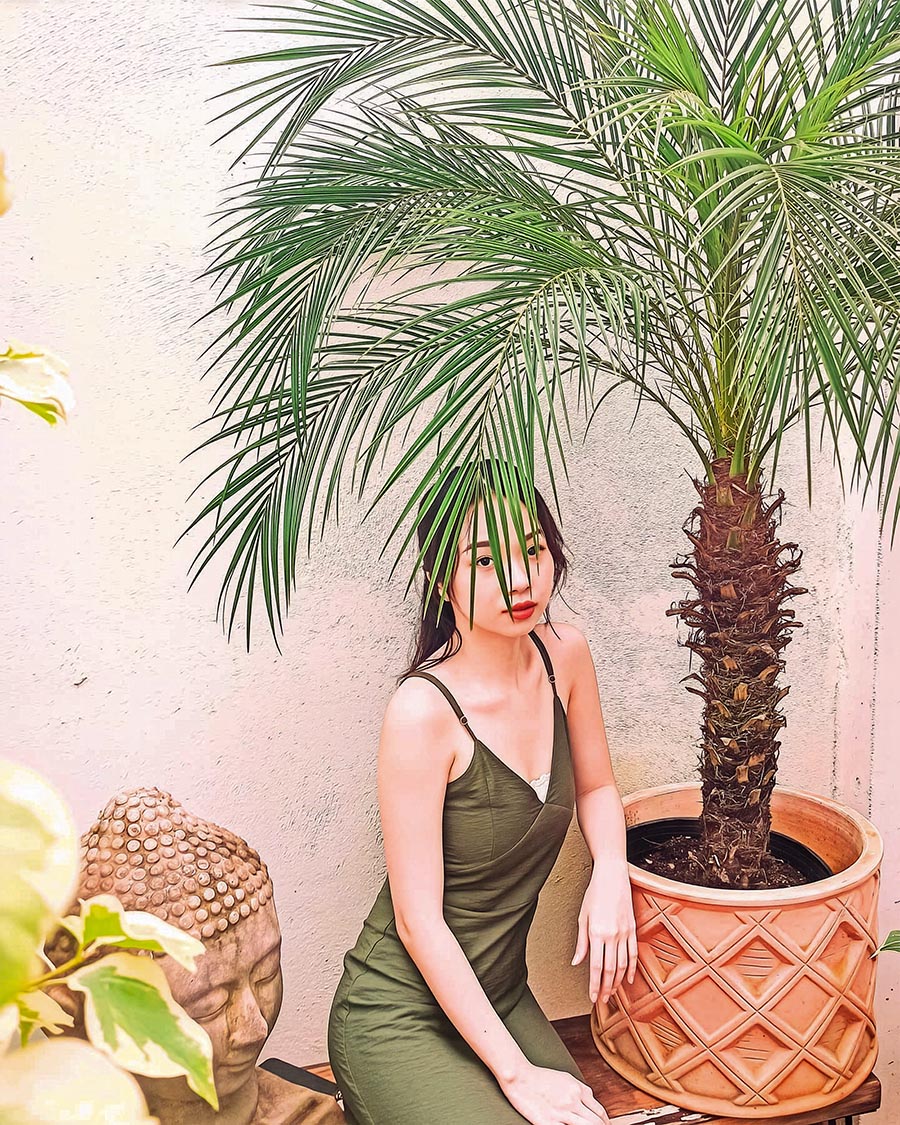 Pygmy date palm by acvarellvietnam