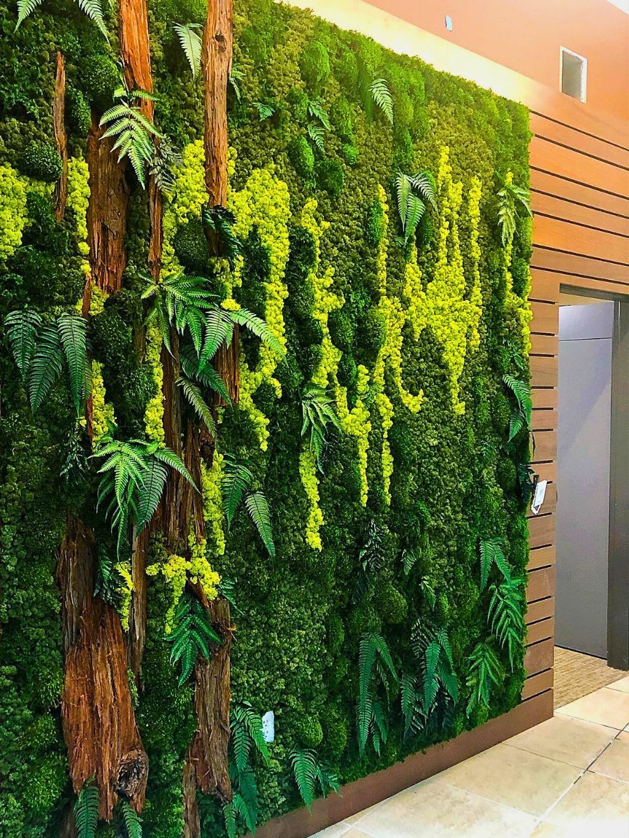 Is Moss One of Nature’s Most Underrated Superstars?