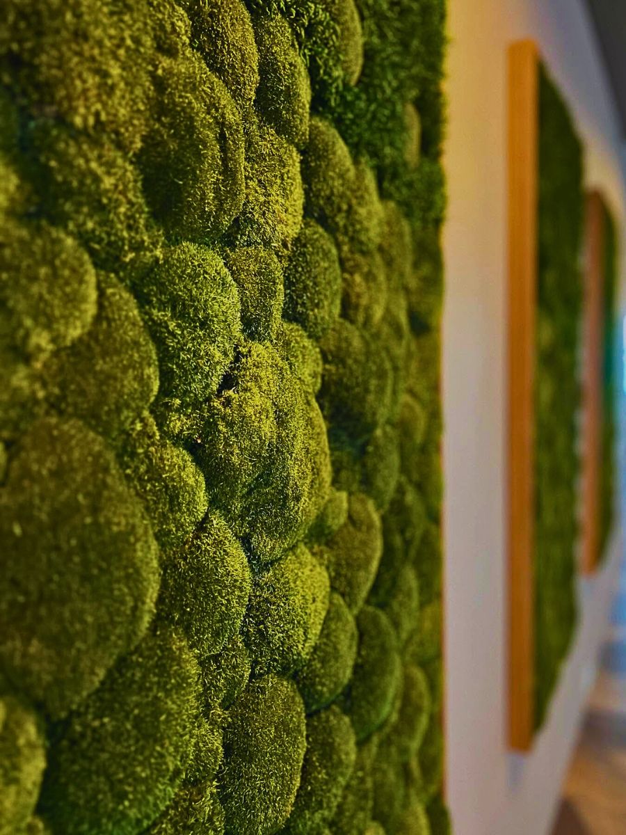 Here’s Why Moss Is One of Nature’s Most Underrated Botanical Superstars
