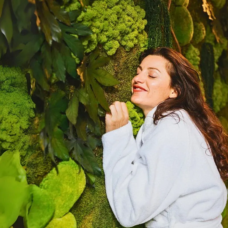 Here’s Why Moss Is One of Nature’s Most Underrated Ecological and Well-Being Superstars - Thursd Article