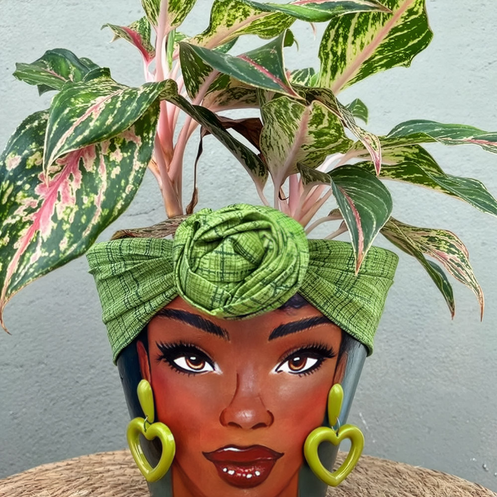 Aglaonema Chinese Evergreen in face pot