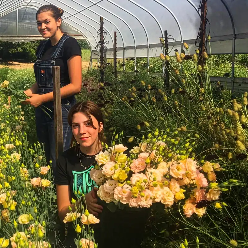 Sustainabloom Has the Resources to Help You Determine Your Floral Business Return on Investments - Thursd Article.