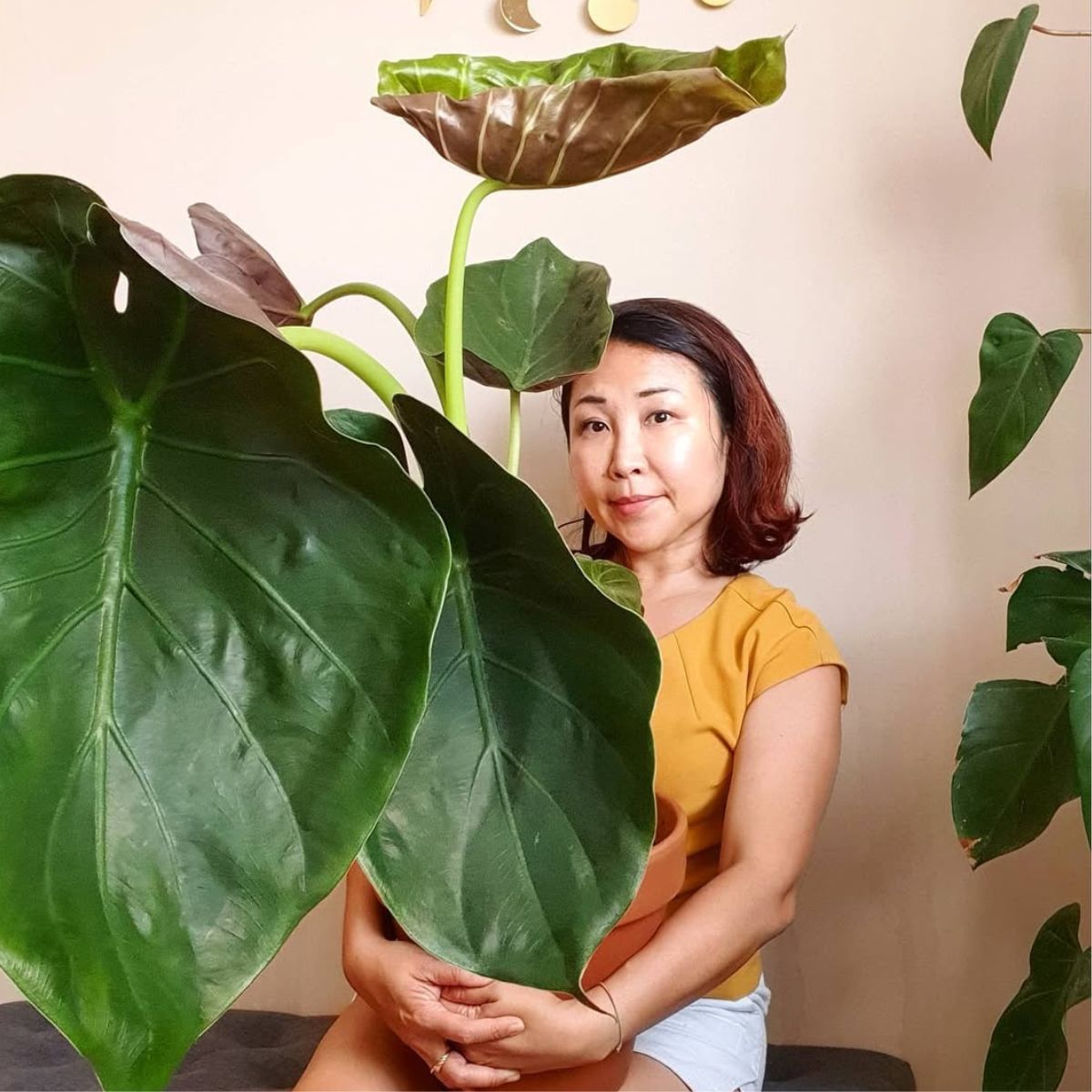 Woman with alocasia wentii
