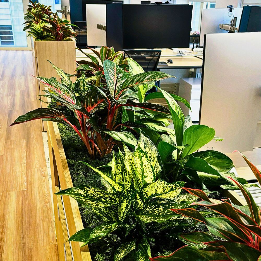 Improve Office Day With a Touch of Green Plants and Flowers