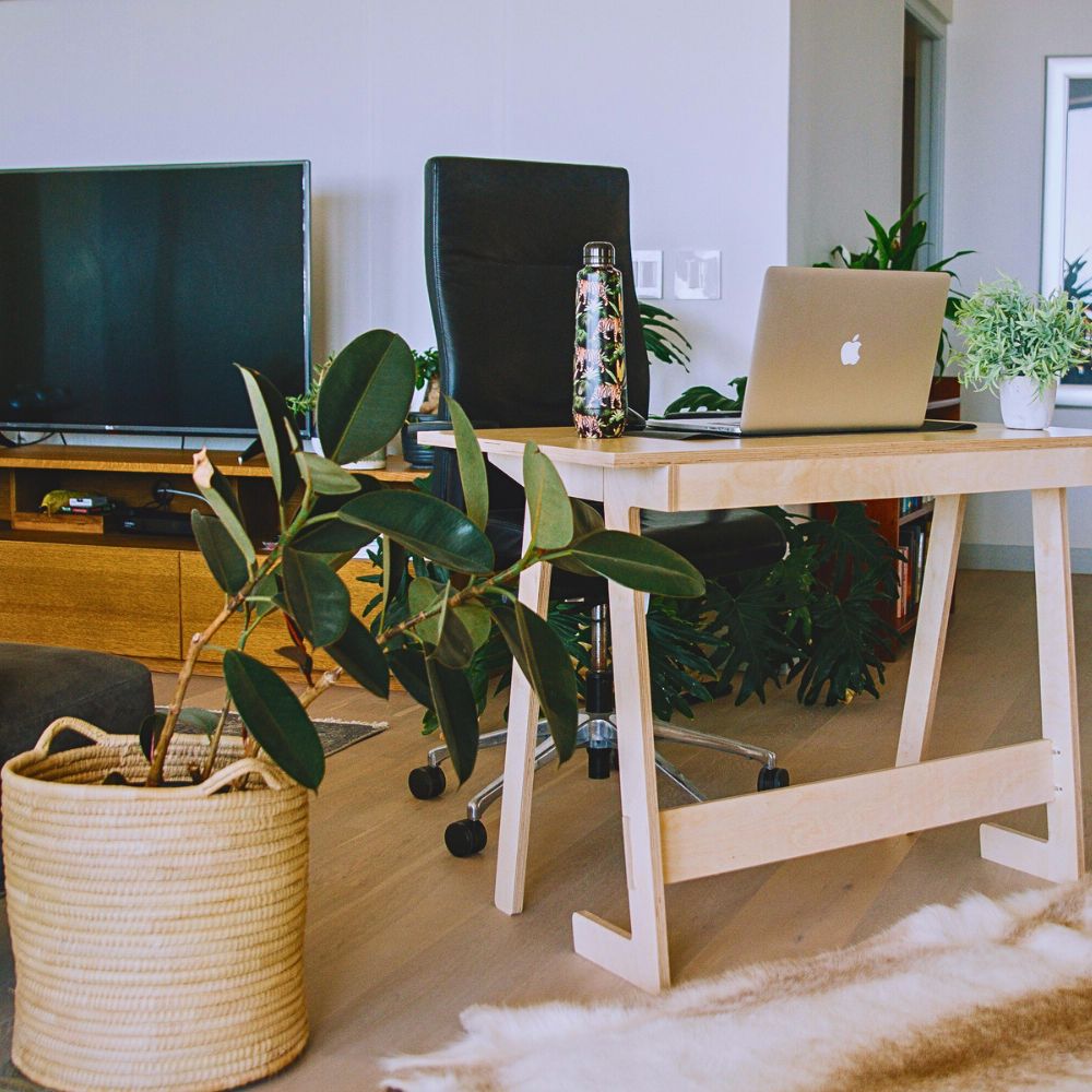 Improve Office Day With a Touch of Green Plants and Flowers