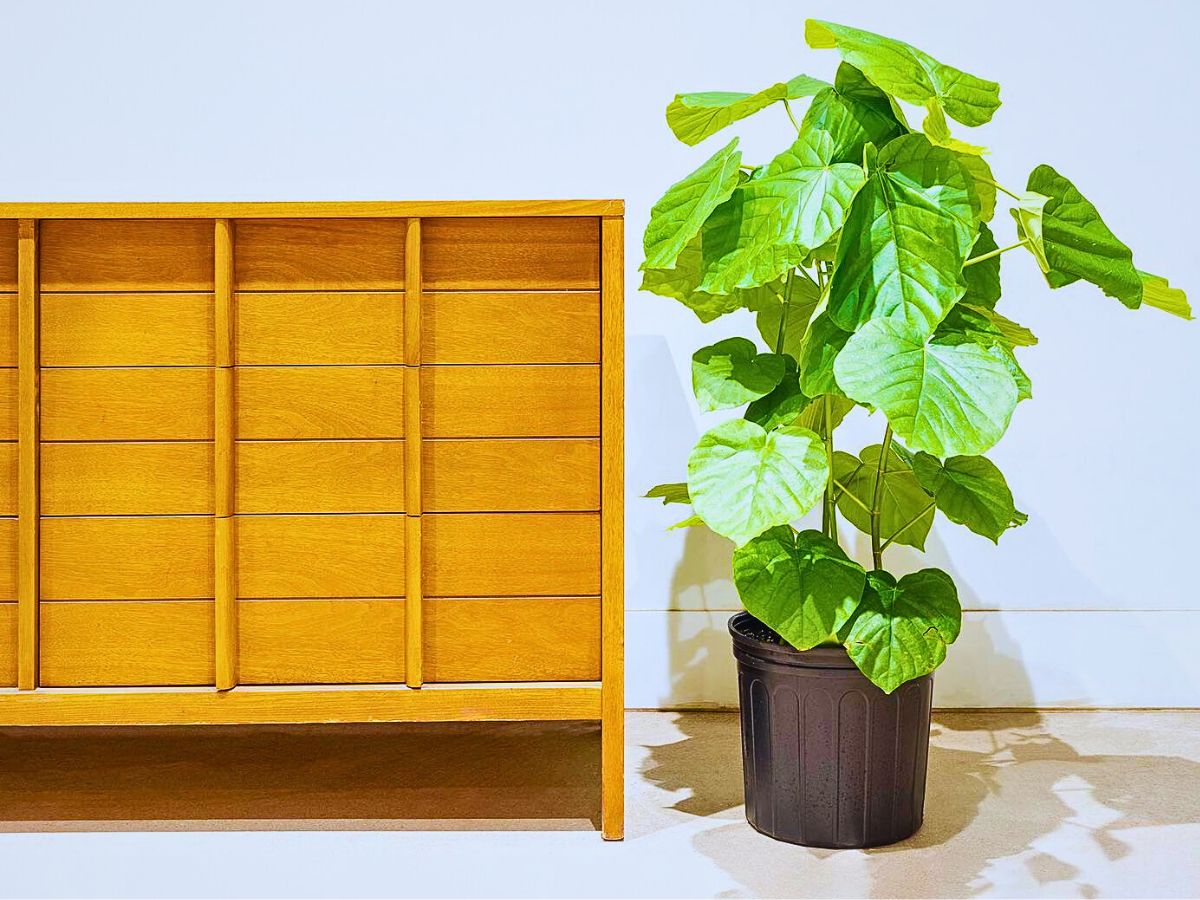 Improve Office Day With a Touch of Green Plants and Flowers