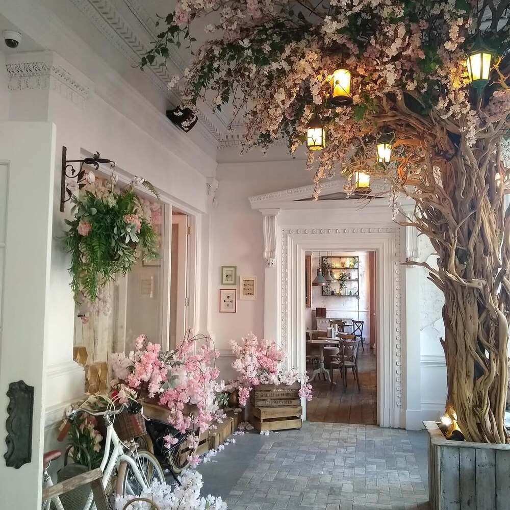 Decorative cherry blossom tree indoor. Decorative cherry blossom tree indoor.
