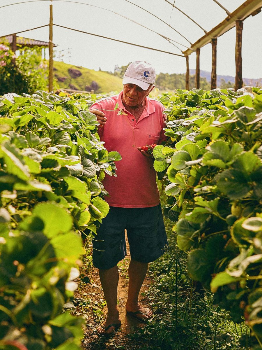 Fruit farmer