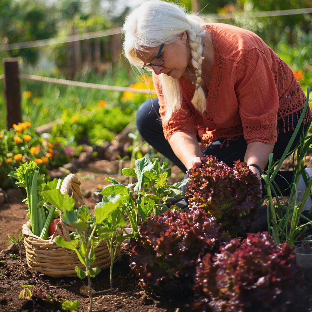 National Farmers Day Honors Their Role in Agriculture and Sustainability