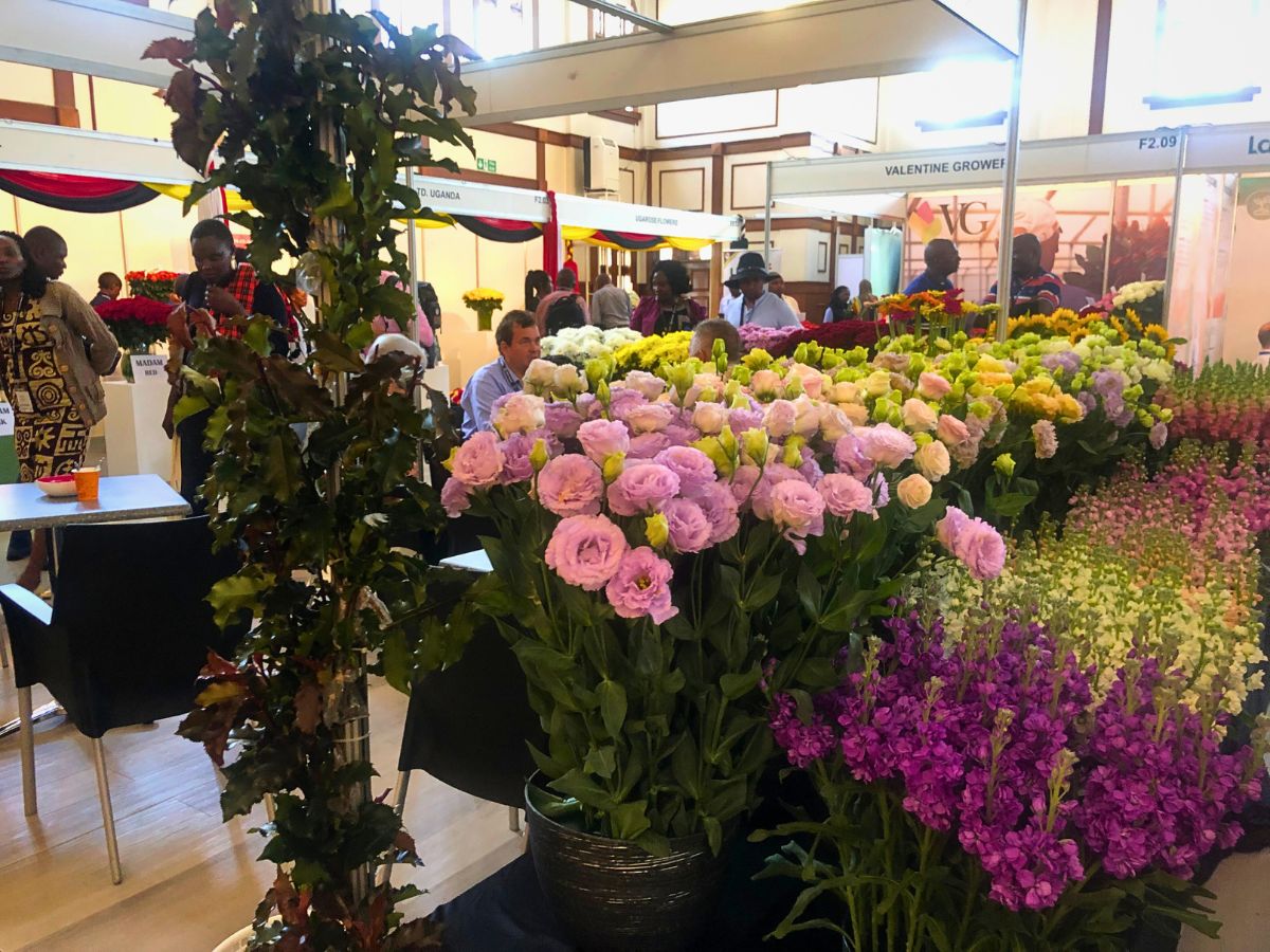 Why HPP Exhibitions Is Making Trade Fairs Free for Small Flower Growers