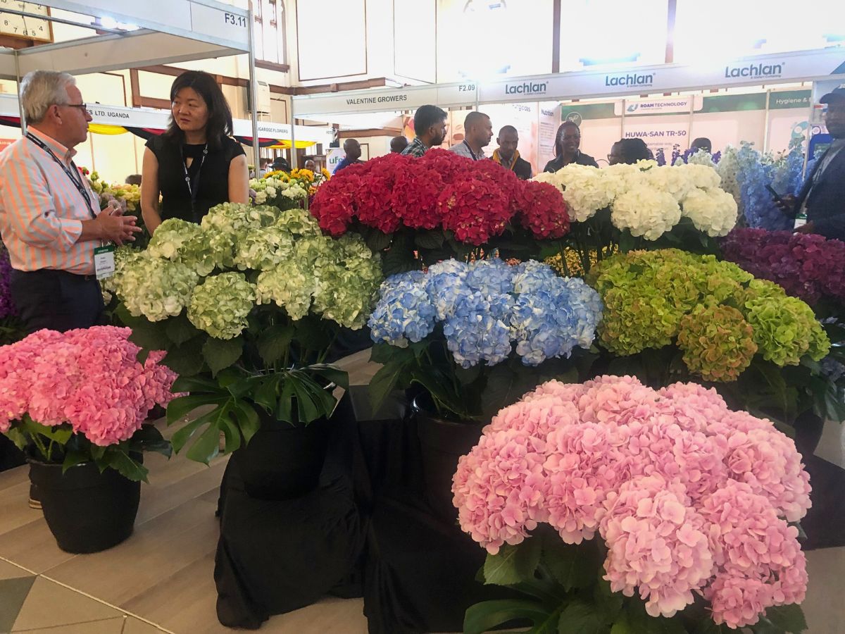 Why HPP Exhibitions Is Making Trade Fairs Free for Small Flower Growers