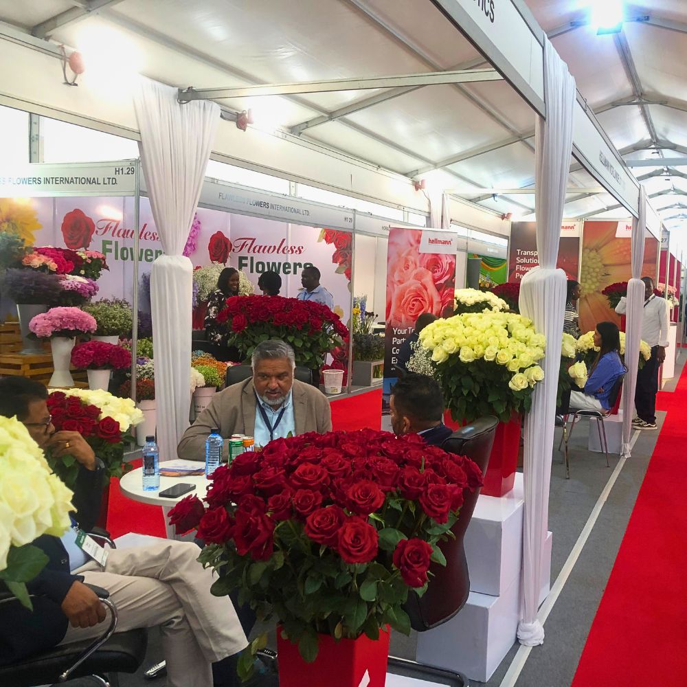 Why HPP Exhibitions Is Making Trade Fairs Free for Small Flower Growers