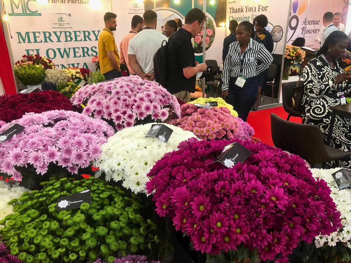 Why HPP Exhibitions Is Making Trade Fairs Free for Small Flower Growers