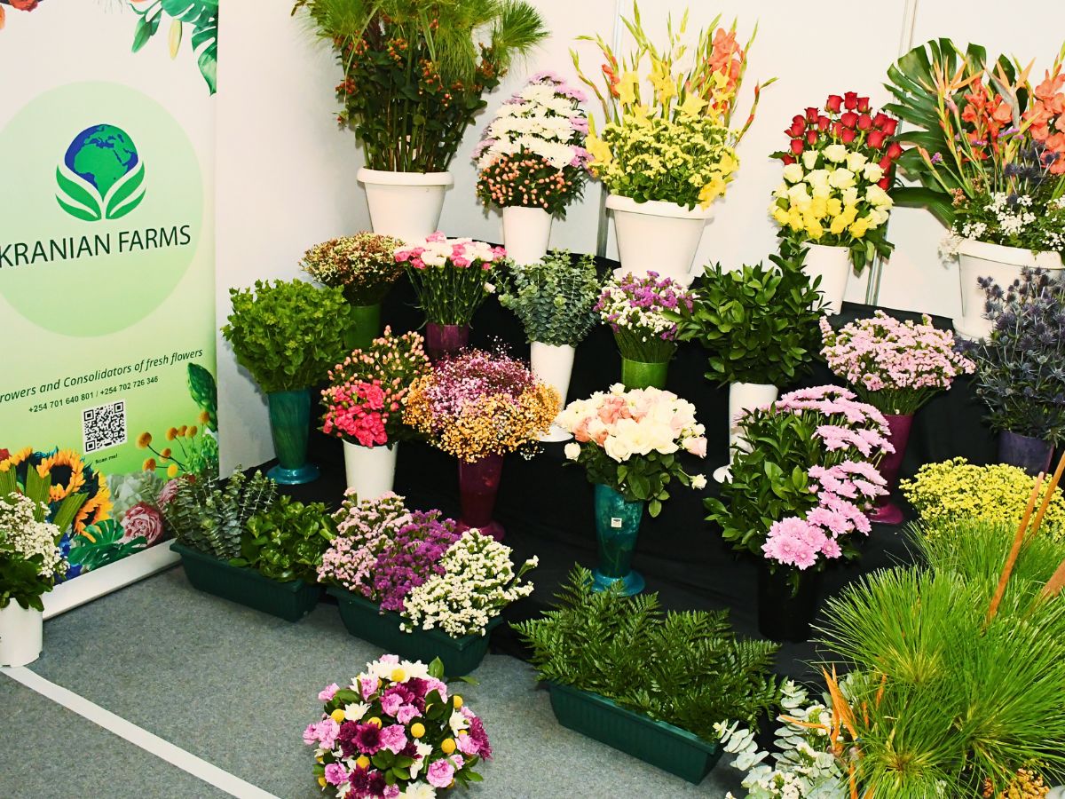 Why HPP Exhibitions Is Making Trade Fairs Free for Small Flower Growers