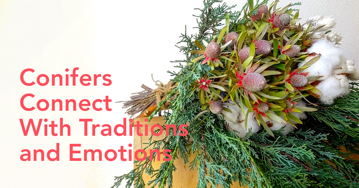 Conifer bouquet