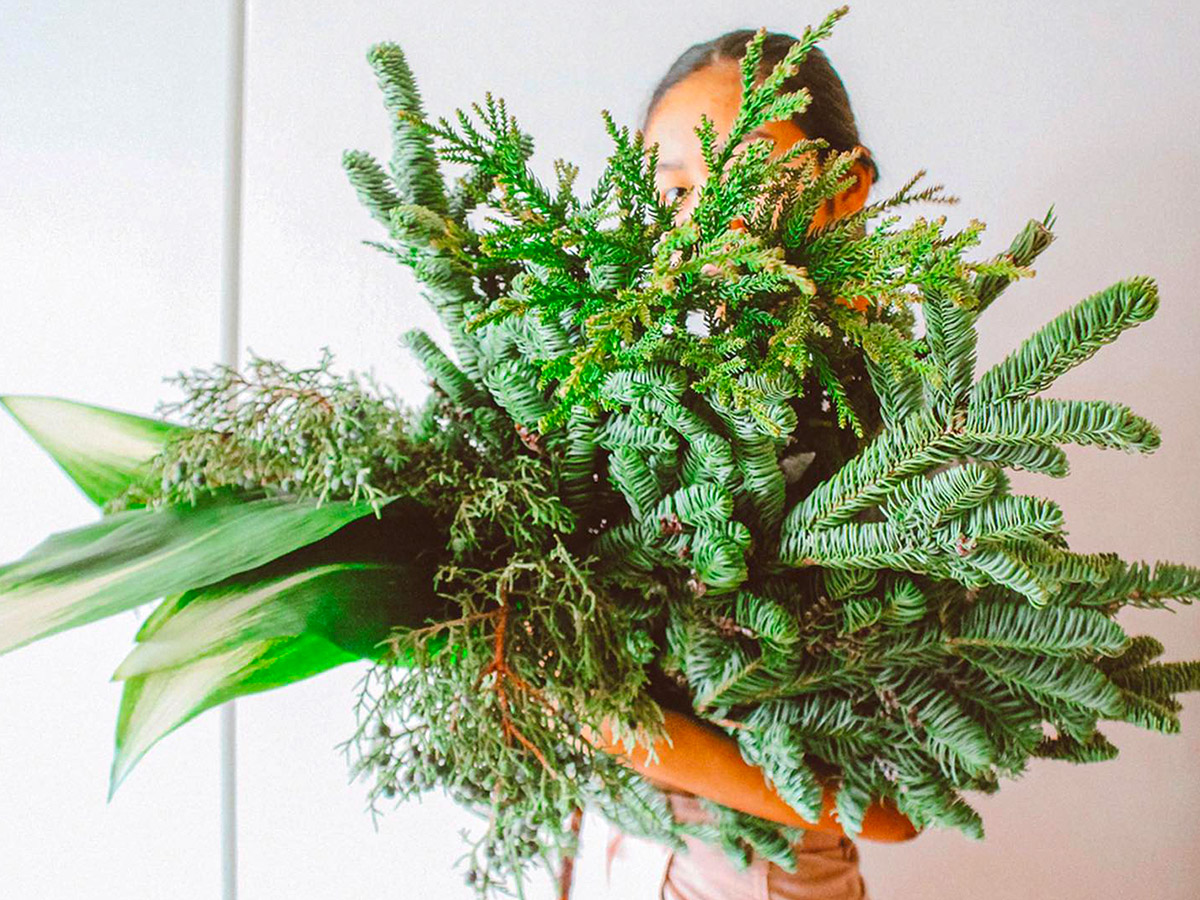 Conifer bouquet by avec_louie
