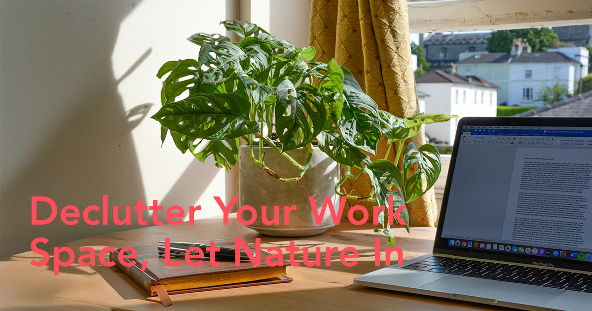 Improve Office Day With a Touch of Green Plants and Flowers