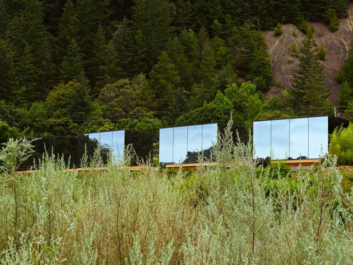 Mirrors in the Oregon wildlife