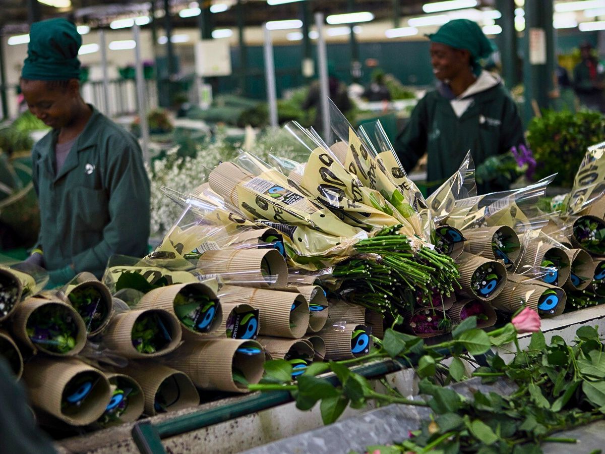 How Fairtrade Is Changing the Lives of Flower Farm Staff in Kenya - Thursd Article