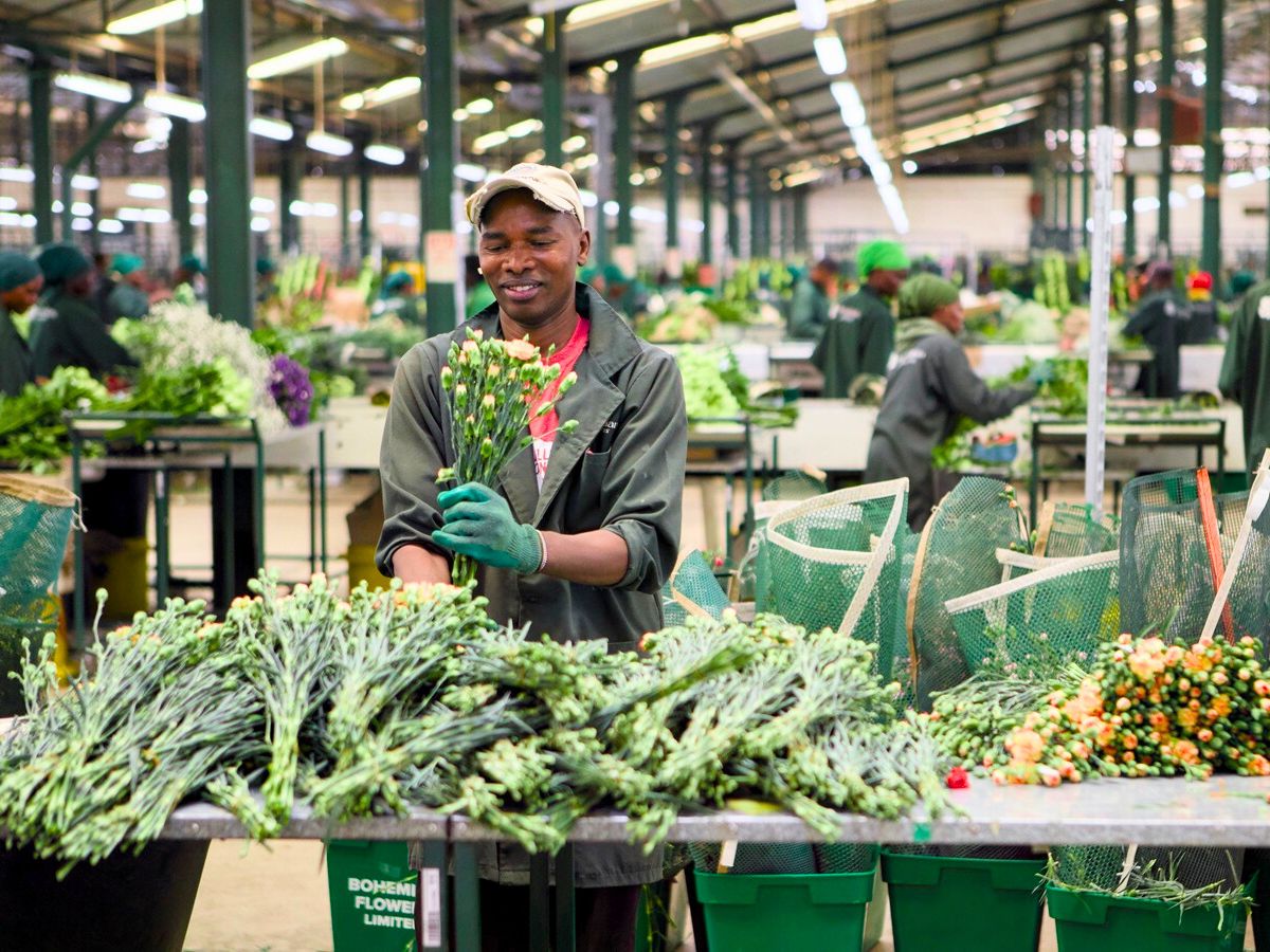 How Fairtrade Is Changing the Lives of Flower Farm Staff in Kenya - Thursd Article