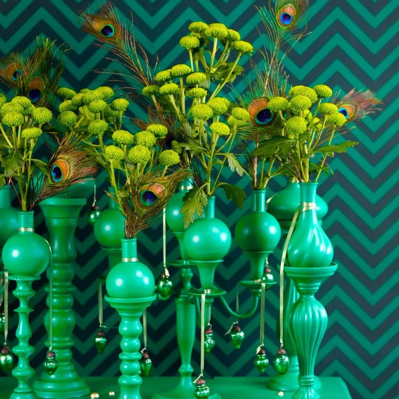 Chrysanthemum Deligreen by Deliflor and VannoVa