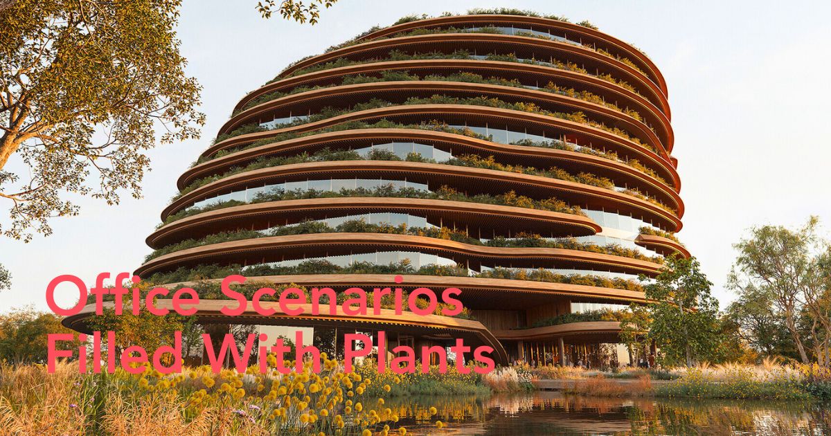 Solum building Brazil