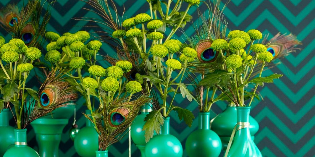 Chrysanthemum Deligreen by Deliflor and VannoVa