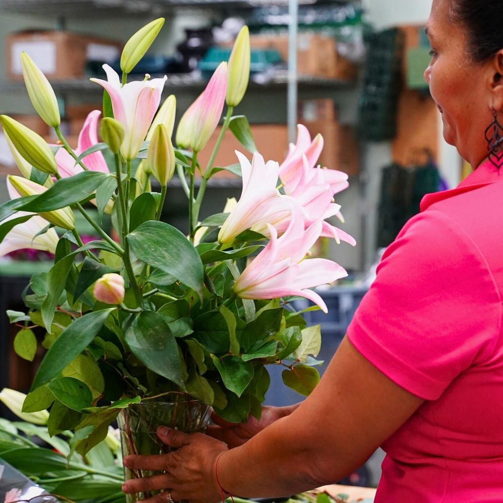 Plausible Reasons Why Everyone Is Falling for Sustainable Flowers
