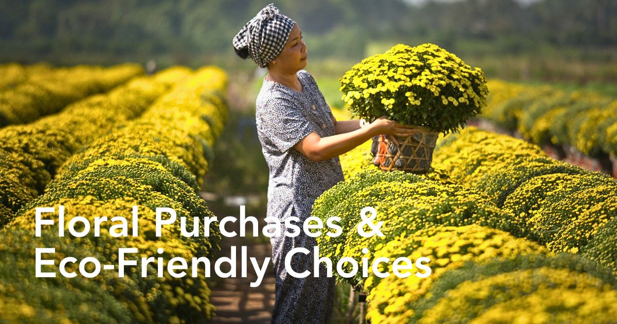Plausible Reasons Why Everyone Is Falling for Sustainable Flowers - Thursd Article